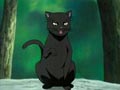 Réclamation : La Puissance du Shinigami