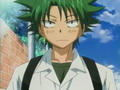 Ueki no Housoku