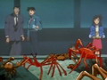 Les crabes et la baleine