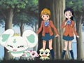 Let your Worries Drive off! Link Hikari's Ties with Everyone!
