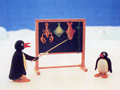 Pingu