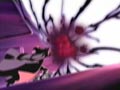 The Horror of Baldez! Pretty Cure Cornered
