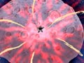Episode 31
