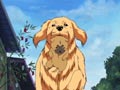 No Way! Chuutaro becomes a Mother !?
