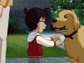 Famous Cool Dog's Achievement