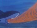 Requin chagrin