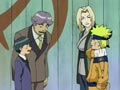 Naruto ! Moi aussi, je suis un ninja !