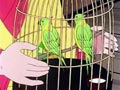 Episode 82
