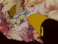 La tristesse de Crocus