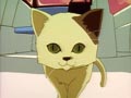 Le petit chat perdu