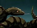 Duel with the snake
