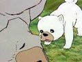 Puppy, Walk into Tomorrow!
