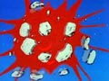 Episode 39
