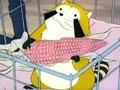 Rascal and the corn

