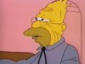Shut Up, Simpsons 
