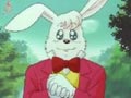 Big jumping bunny
