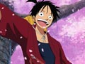 Luffy est-il coupable ?  la poursuite du grand cerisier disparu