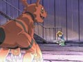 La naissance de Guilmon