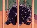 Episode 50
