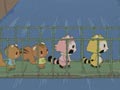 Episode 49
