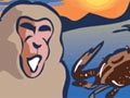 Episode 35
