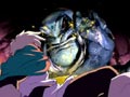 Episode 28