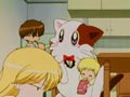 Lou-kun, star du collge