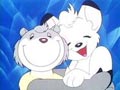 L'ours en colère