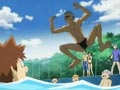 A Shark in the Public Pool