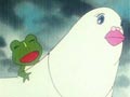 Le crapaud qui se prenait pour un oiseau