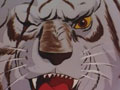 Le tigre blanc borgne (partie 1)