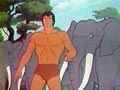 Tarzan - seigneur de la jungle