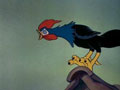 Silly Symphonies n71 - Symphonie d'une cour de ferme