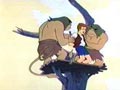 Le peuple des arbres

