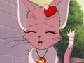 Chocola se transforme en chat !?