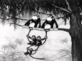 Silly Symphonies n13 - Monkey Melodies