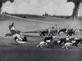 Silly Symphonies n24 - The Fox Hunt