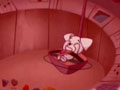 Un nouveau monde pour Krypto (1)