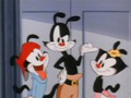 Animaniacs