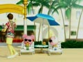 Summer vacation in Hawaii? -Welcome to Hawaii-
