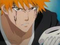 Ichigo riposte ! Voici mon Bankai !