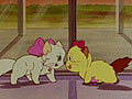 Un amour de chat