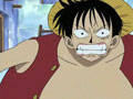 Un combat sérieux ! Luffy VS Zoro, le duel inattendu !