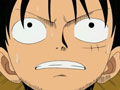 Luffy en colère ! Le duel sacré est menacé !