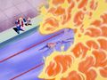 Le grand ami - Chat chaud craint l'eau froide