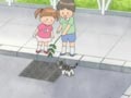 Chi Taking A Walk 

