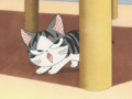 Chi Sulks 
