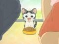 Chi Being Lured 
