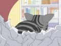Chi Feigns Ignorance 
