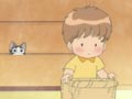 Chi Hides More 
